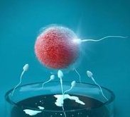 试管婴儿不成功的原因是什么？